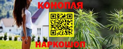 крисы Ипатово