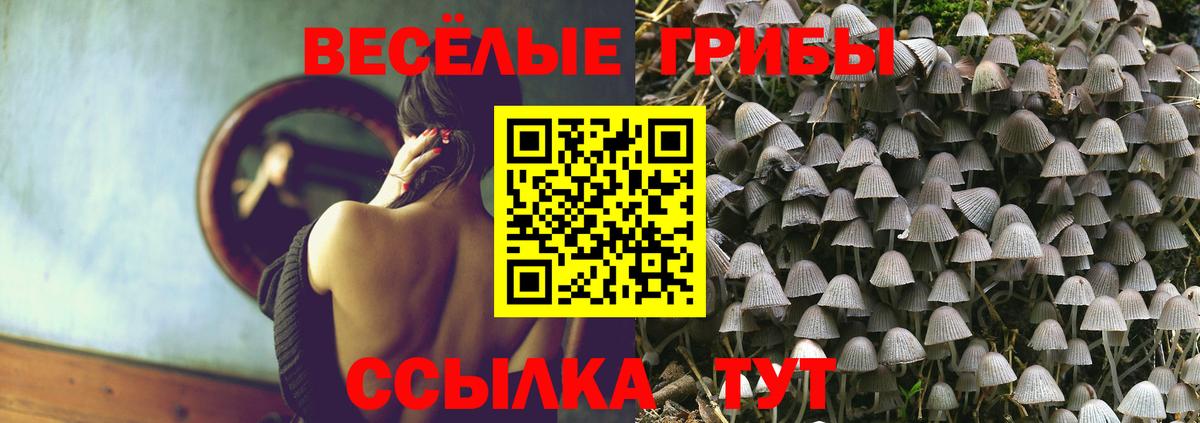 Галлюциногенные грибы мицелий  Вход с VPN  Малоярославец  Галлюциногенные грибы Psilocybine cubensis 